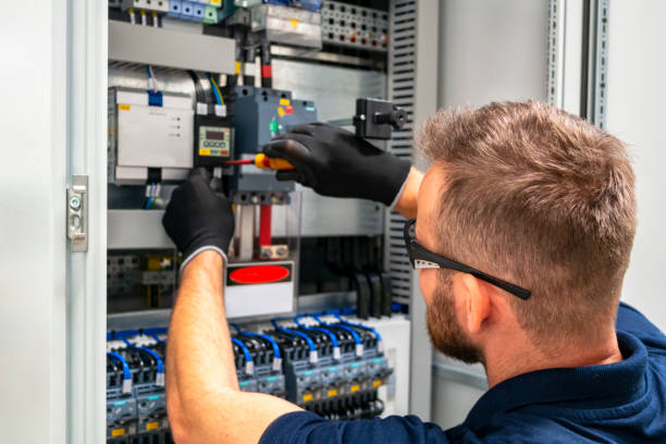 Best Electrical Repair Services  in Osceola, WI