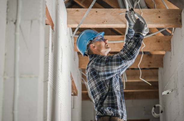 Best Electrical System Inspection  in Osceola, WI