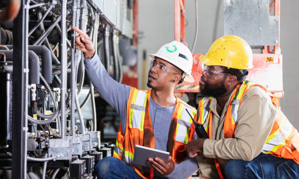 Best Generator Installation Services  in Osceola, WI