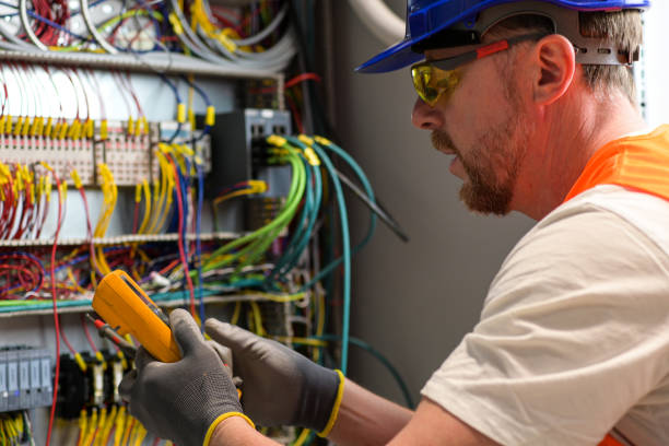 Best Home Electrical Repair  in Osceola, WI
