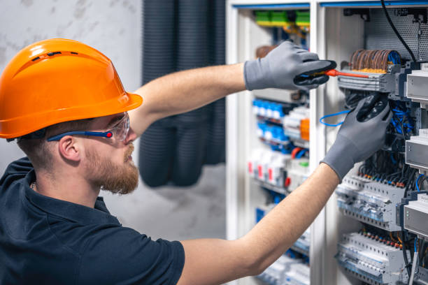 Best Ceiling Fan Installation Electrician  in Osceola, WI