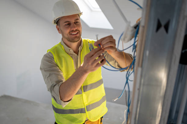 Best Electric Panel Repair  in Osceola, WI